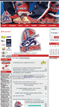 Mobile Screenshot of hockeyaylmer.com